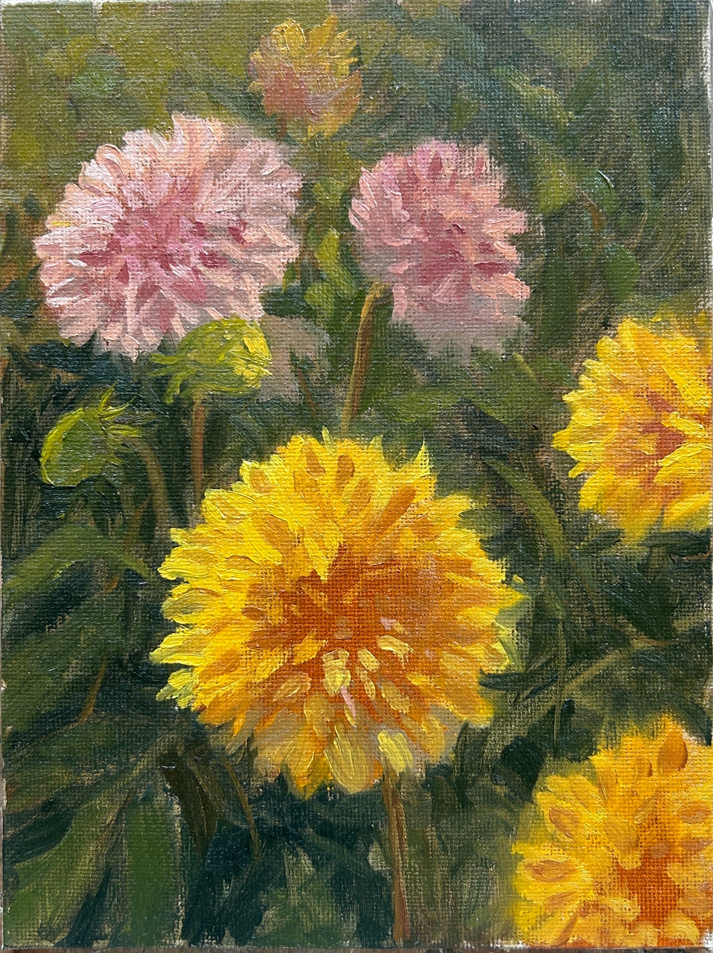 Plein Air Dahlia