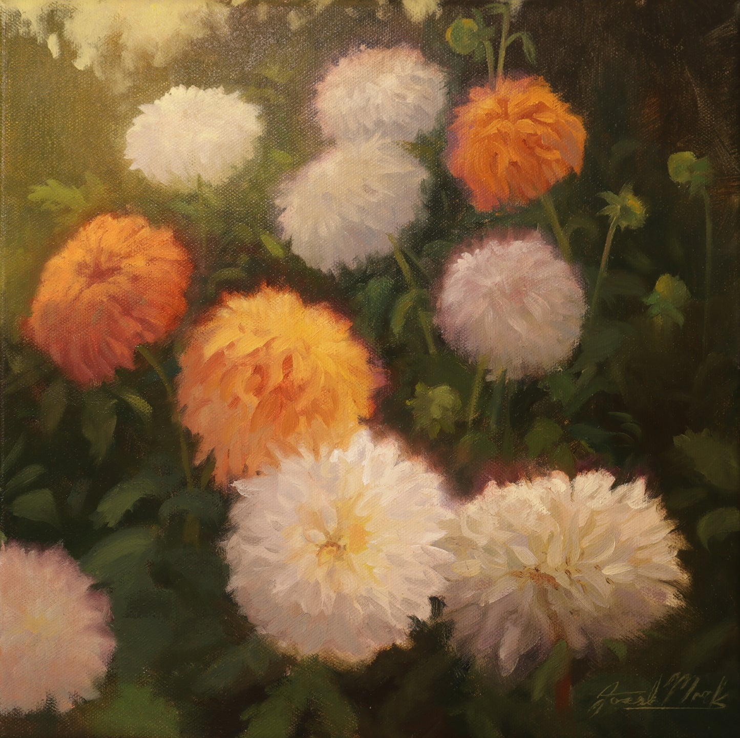 Dahlia's In Delight