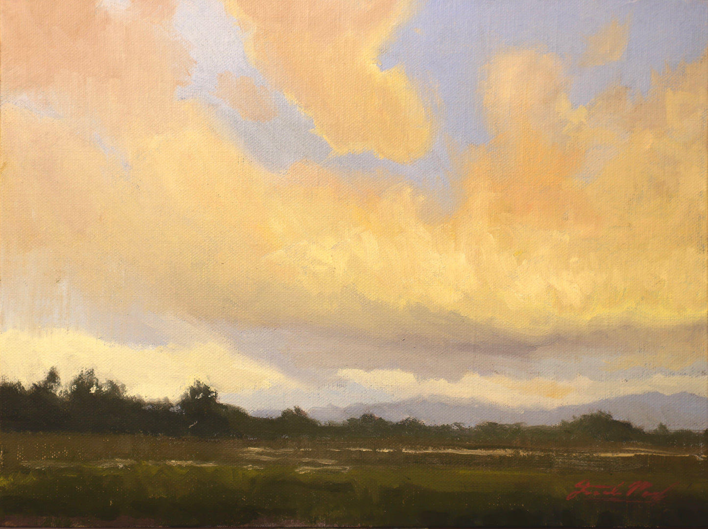 Orange Skies