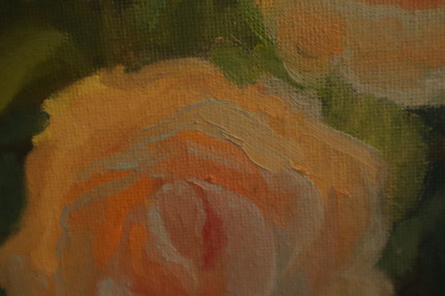 Sunset Roses
