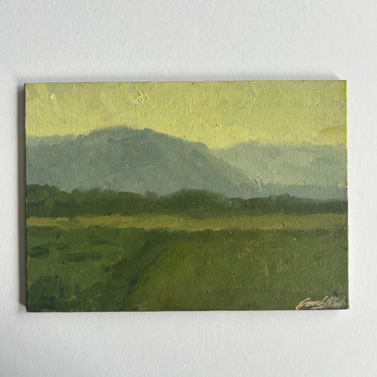 Yellow sky study
