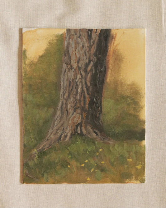Willow’s Trunk