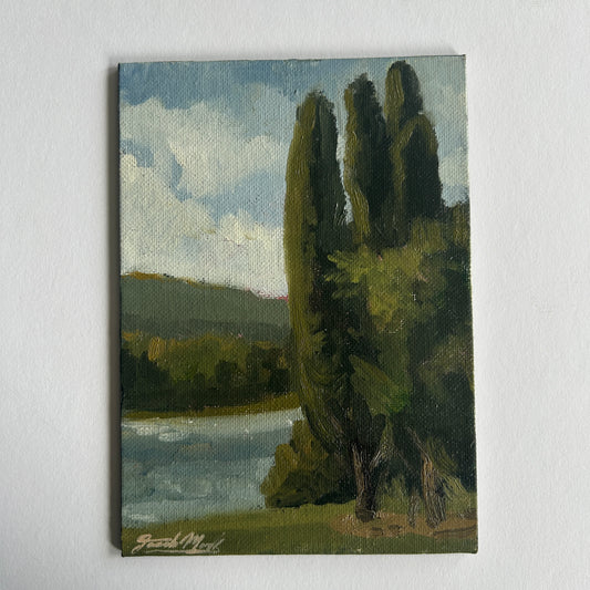 Tree and lake study