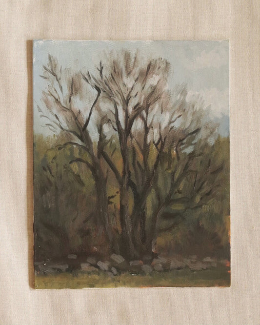 Resting Crabapple