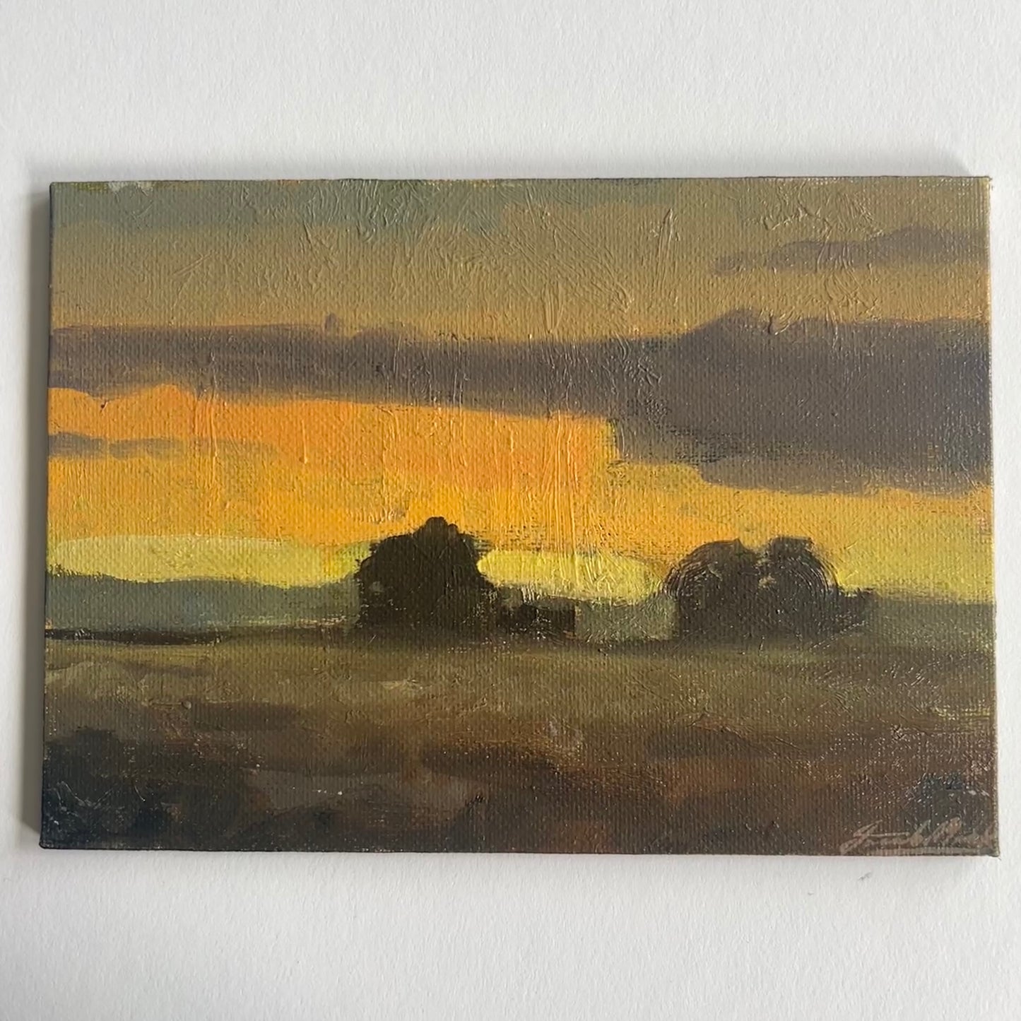 Loose sunset study