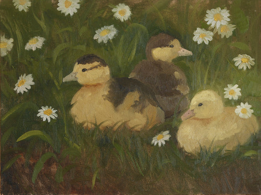 Spring Ducklings