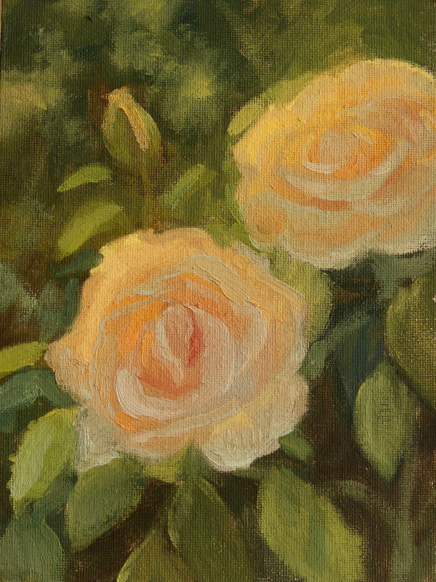 Sunset Roses
