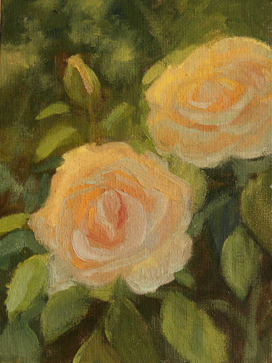 Sunset Roses