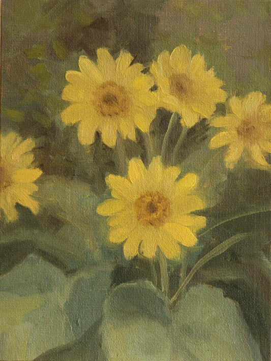 Arrowleaf