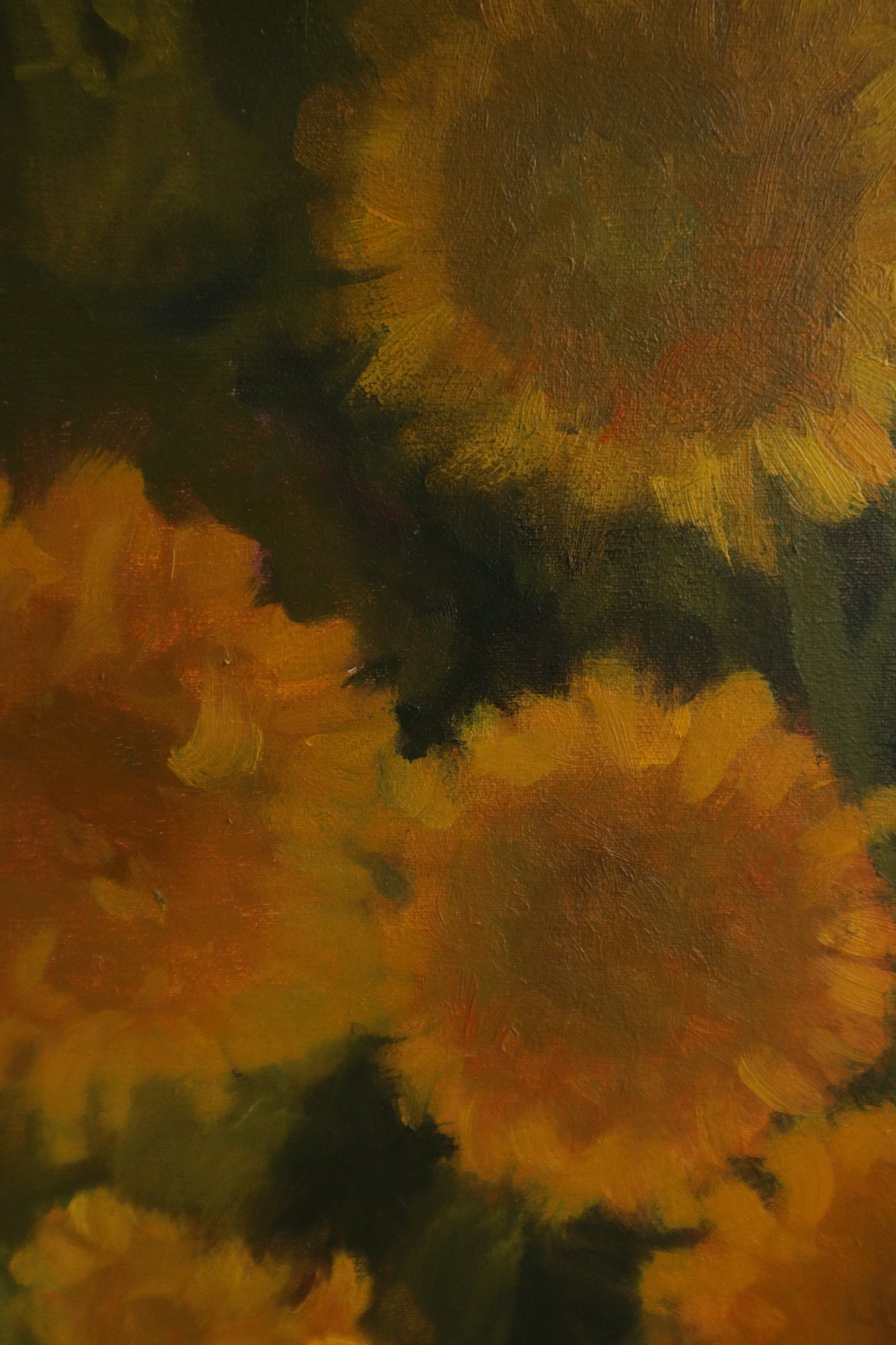 Teddy Bear Sunflower