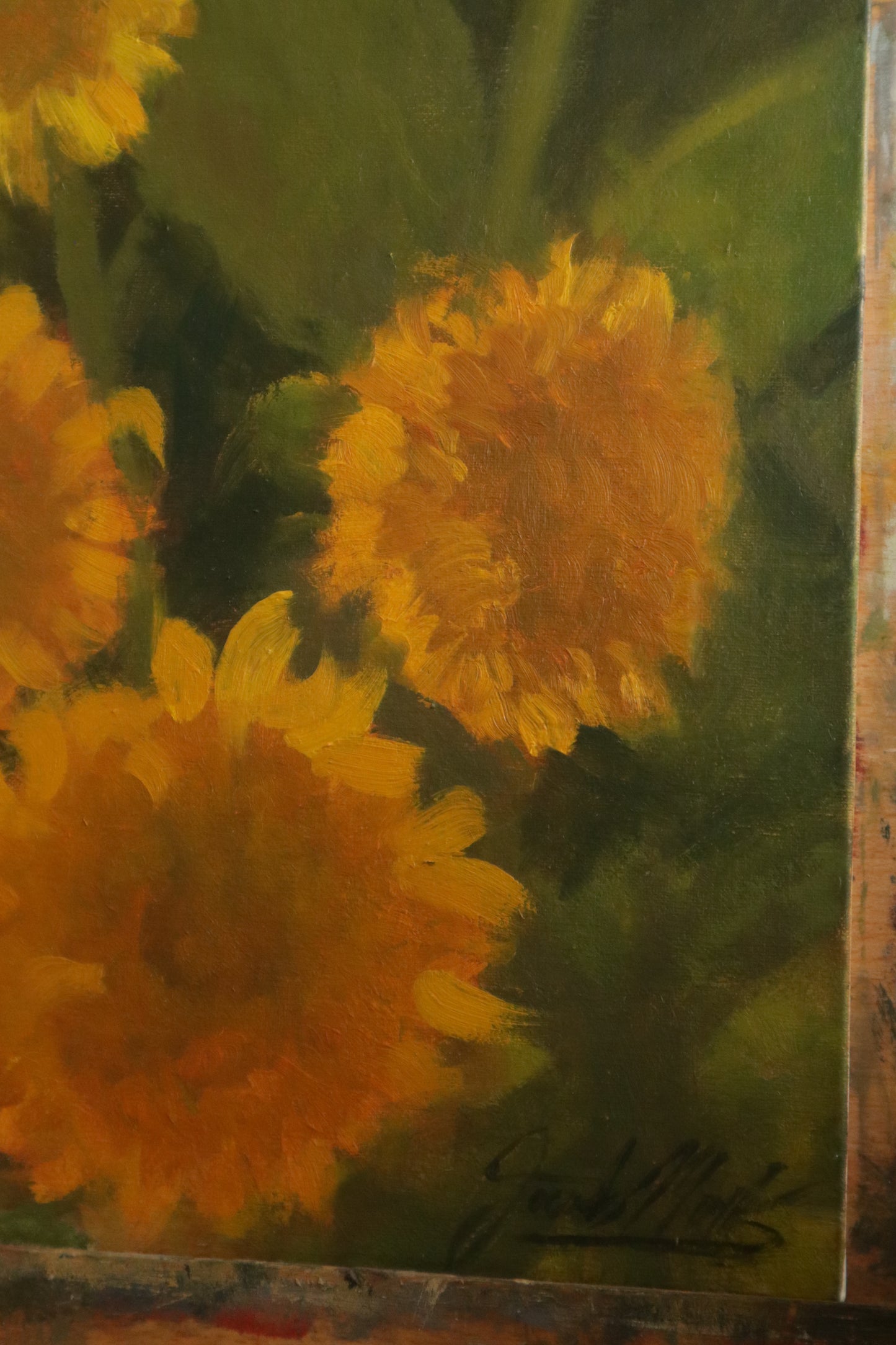 Teddy Bear Sunflower