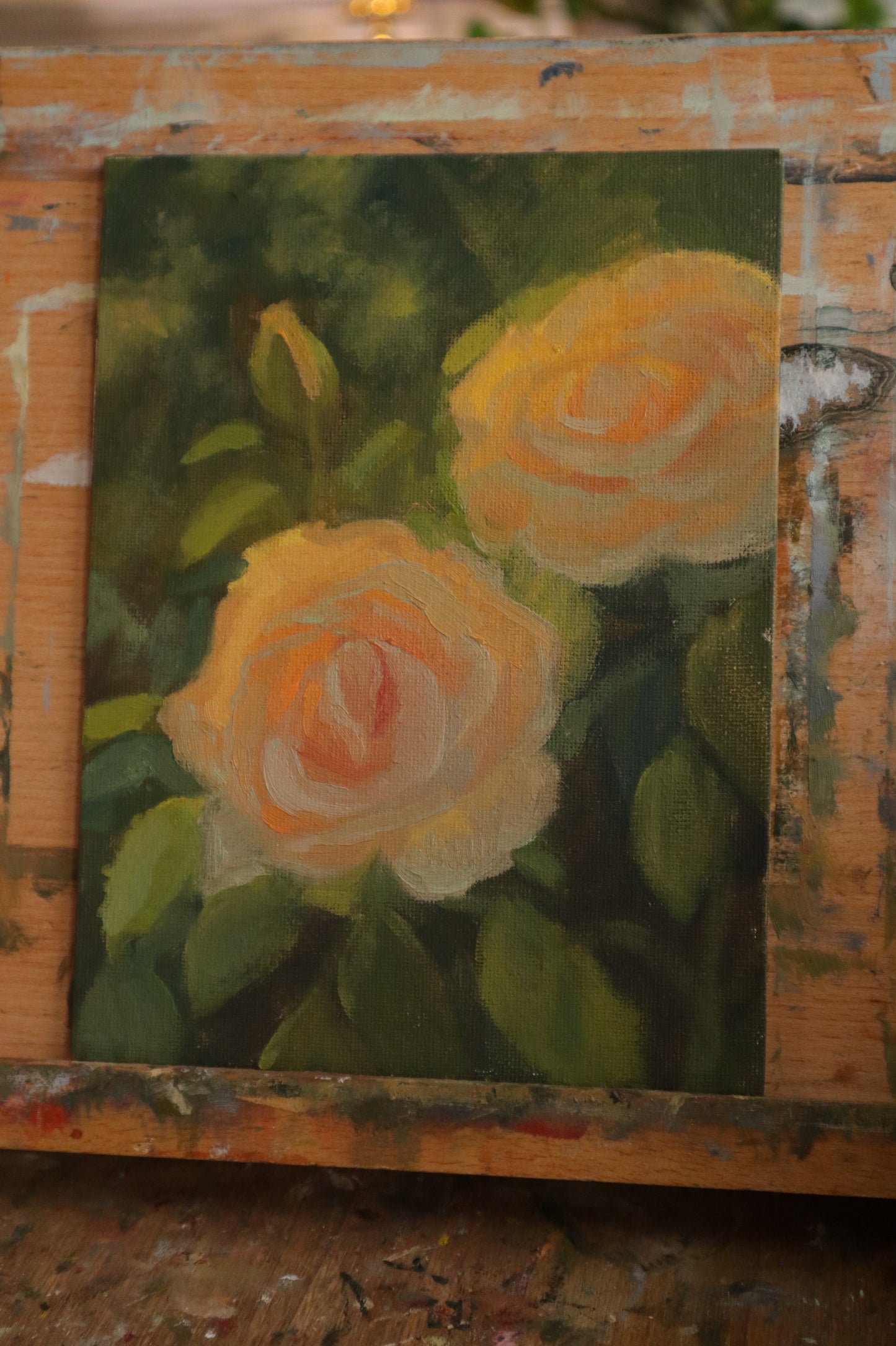 Sunset Roses