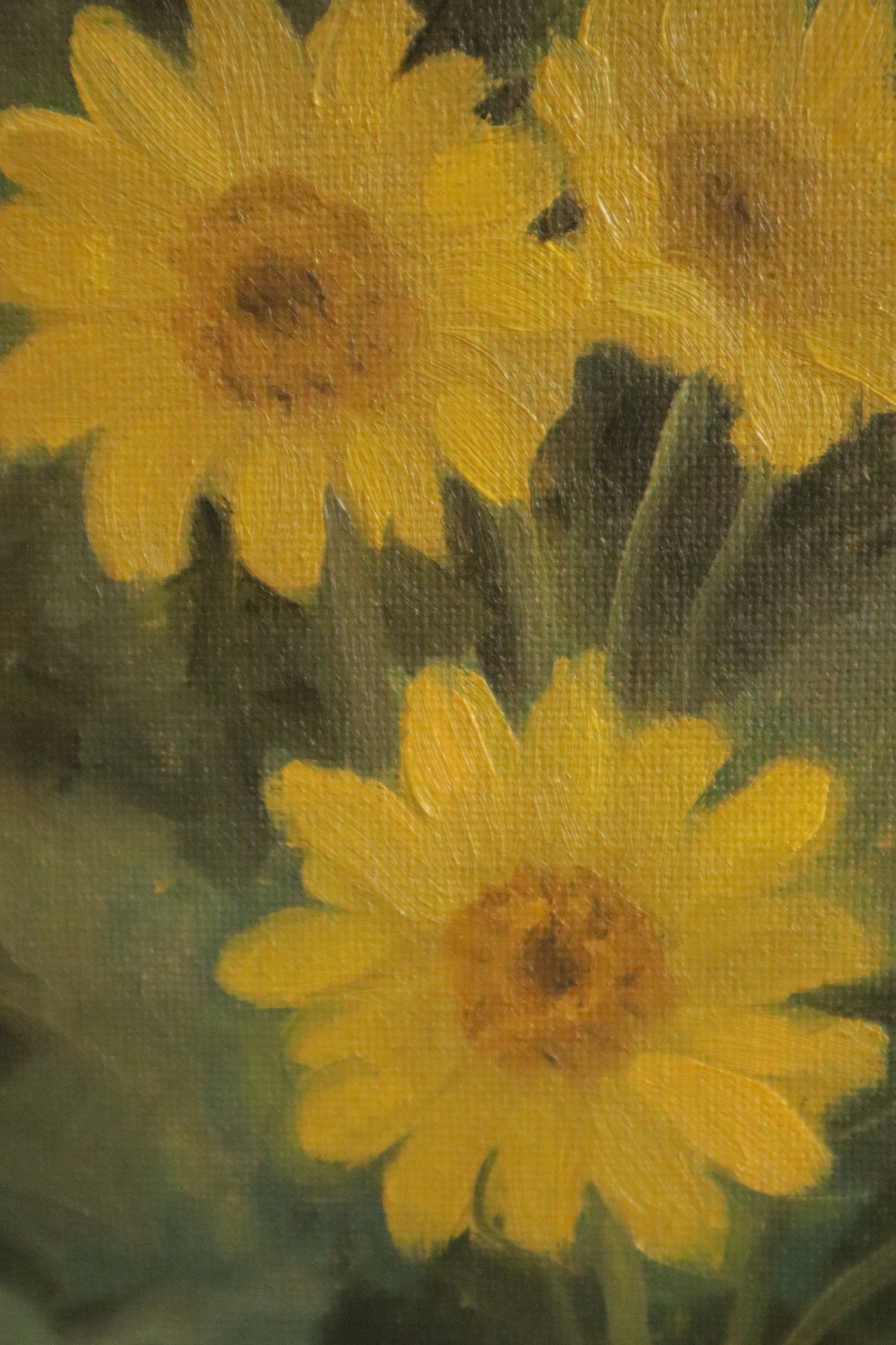 Arrowleaf