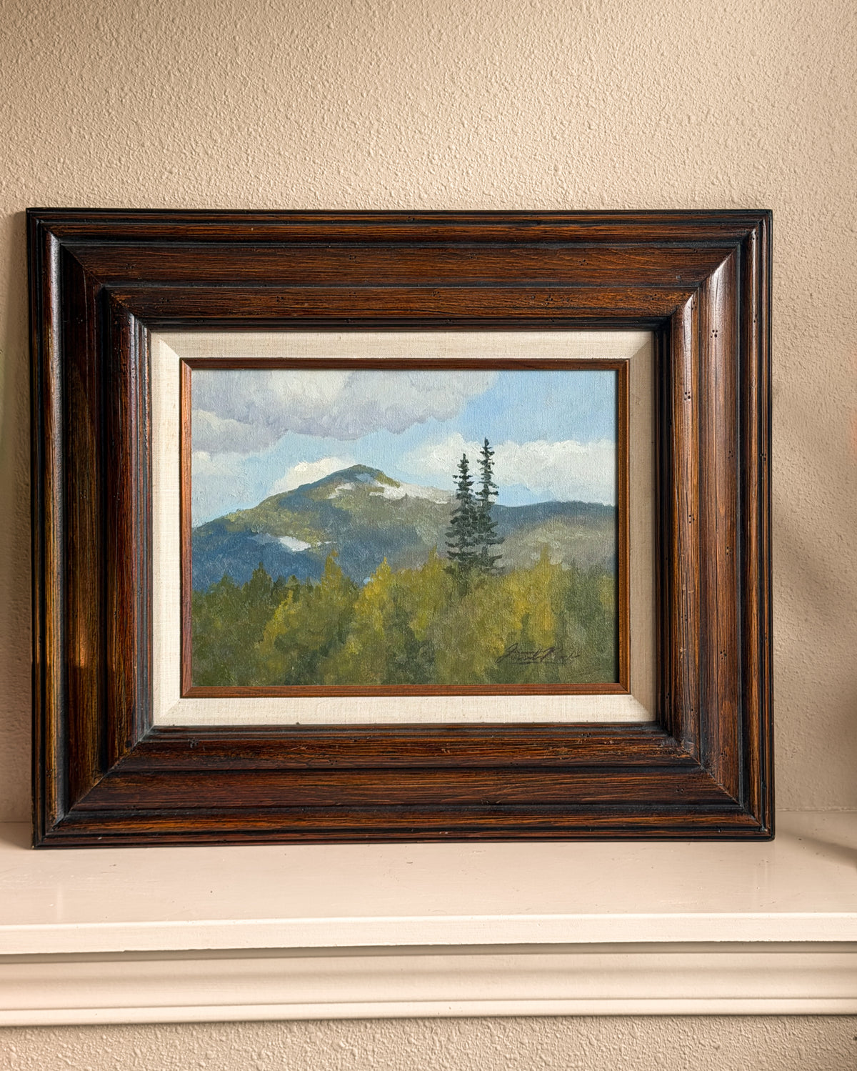 Mountain View In Spring