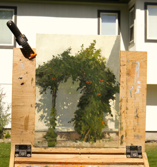 Trumpet Vine Arch