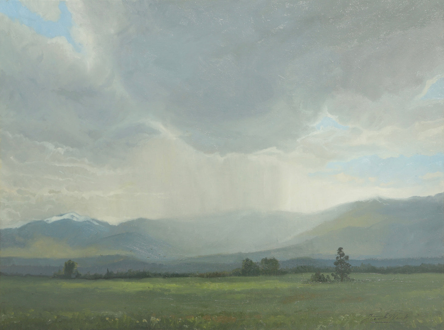 Spring Rainfall