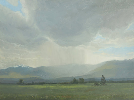Spring Rainfall