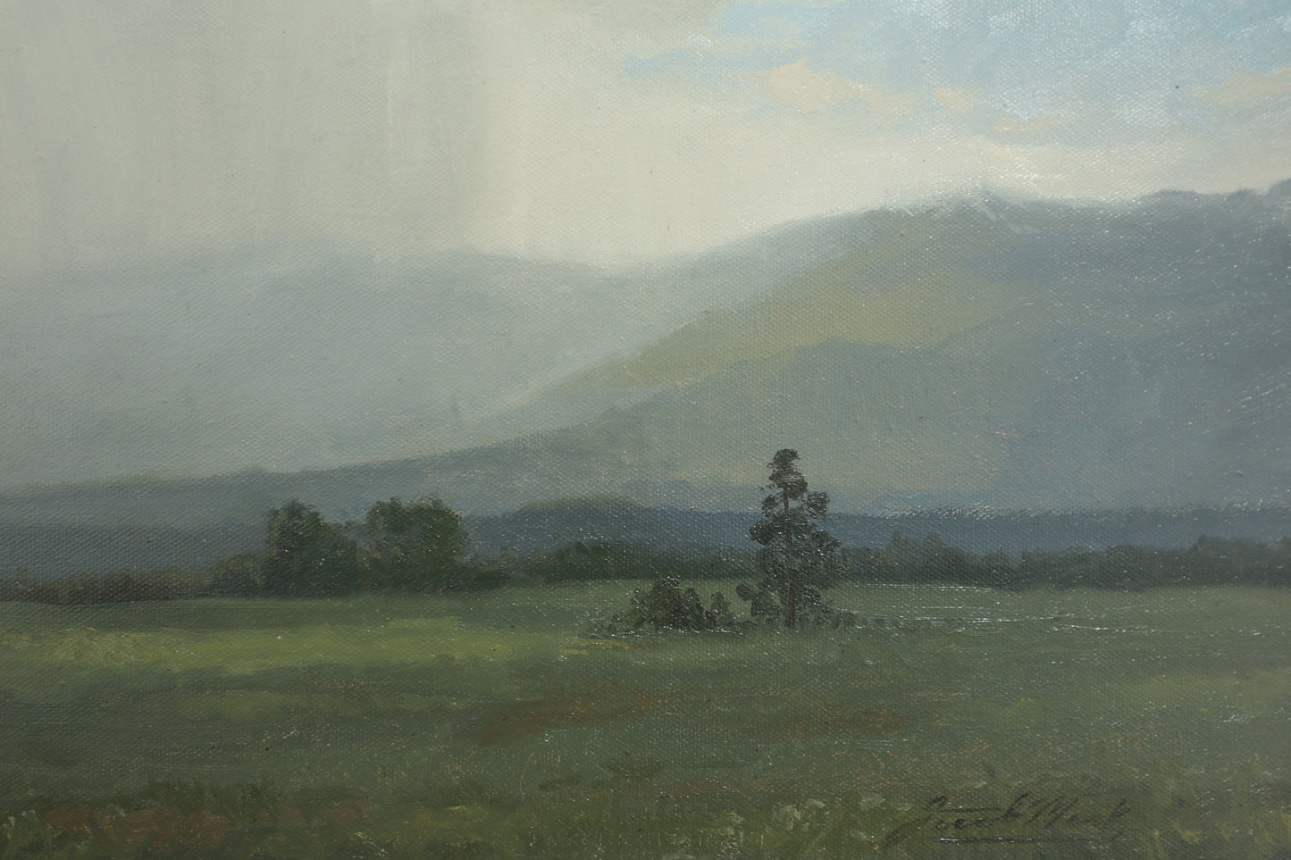 Spring Rainfall