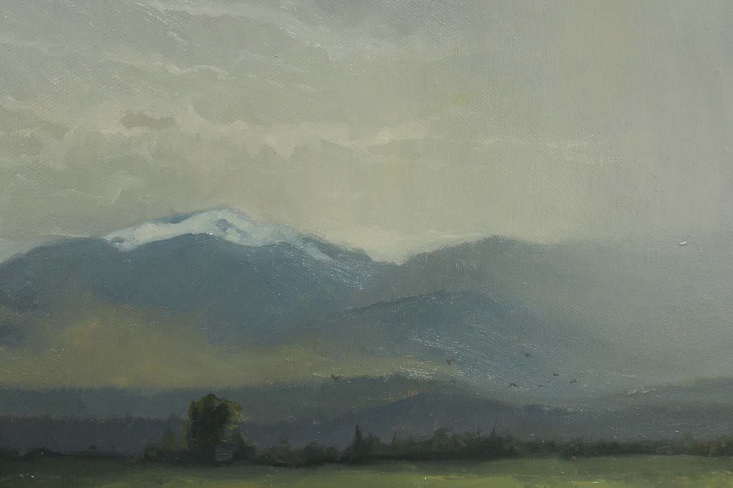 Spring Rainfall