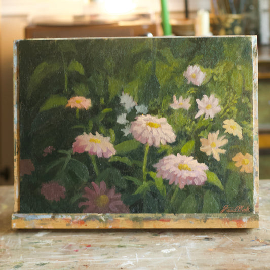 ballerina zinnias