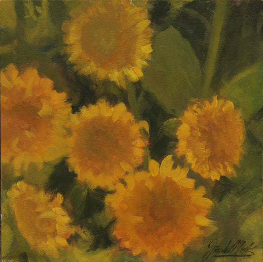 Teddy Bear Sunflowers