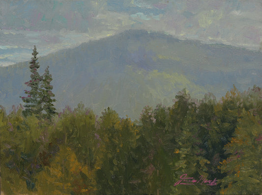 Mountain Serenity