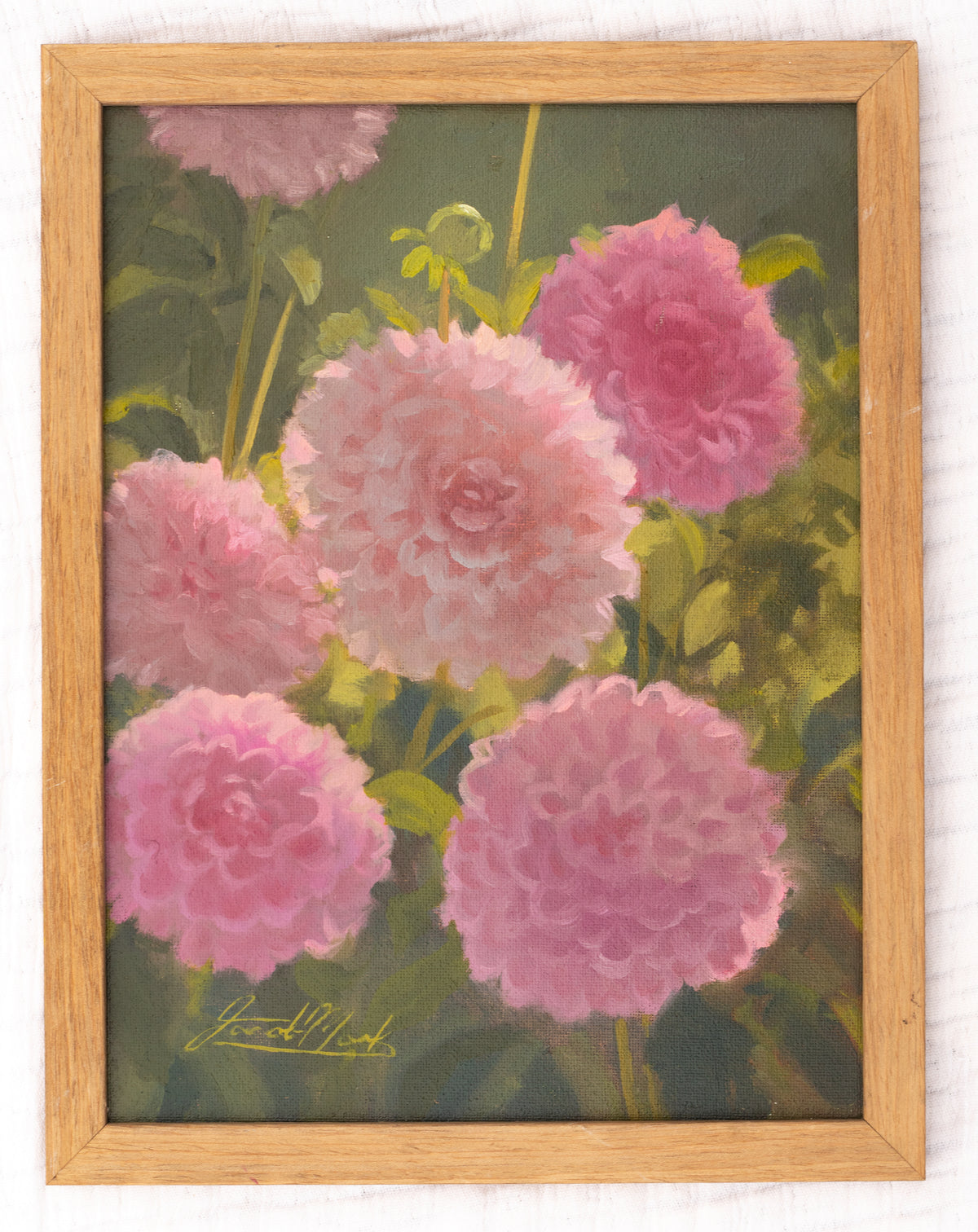 Pink Dahlias