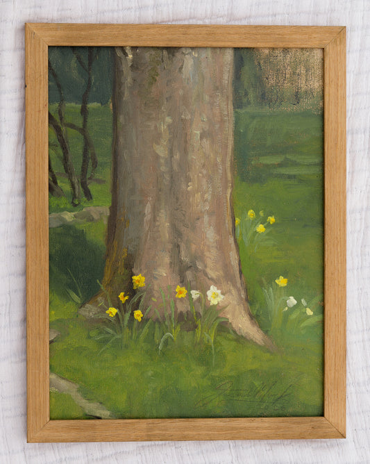 Daffodils Under Willow