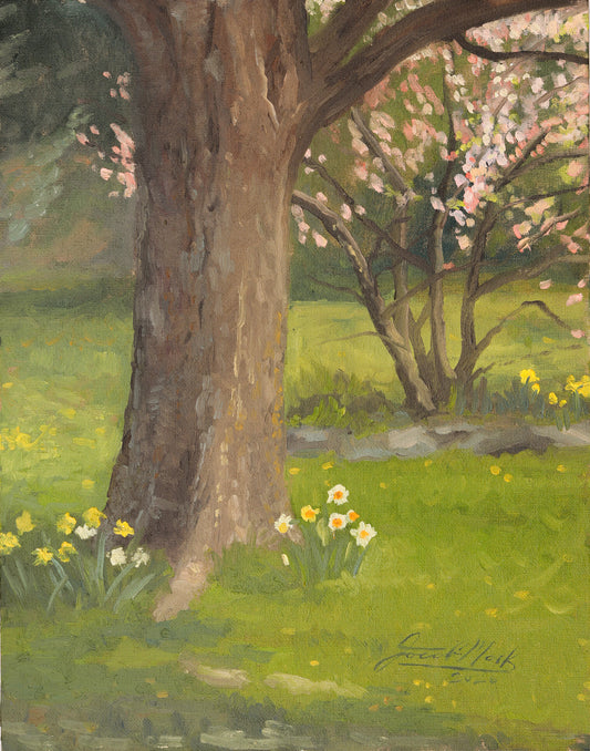 Spring Under The Willow