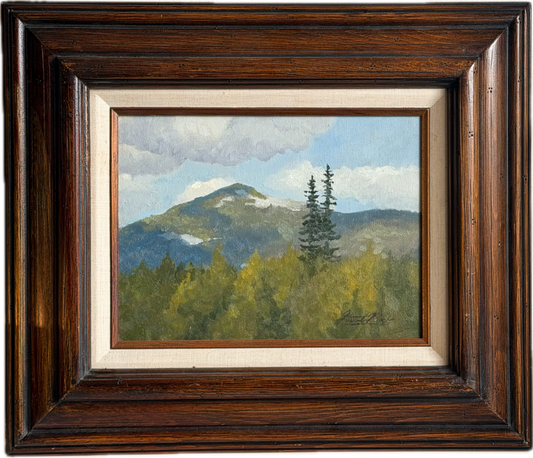 Mountain View In Spring